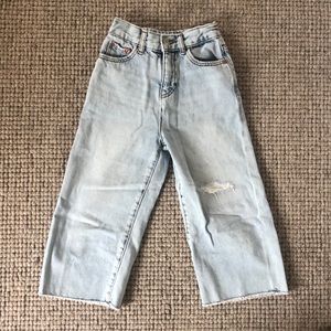 Zara high waisted wide leg jean